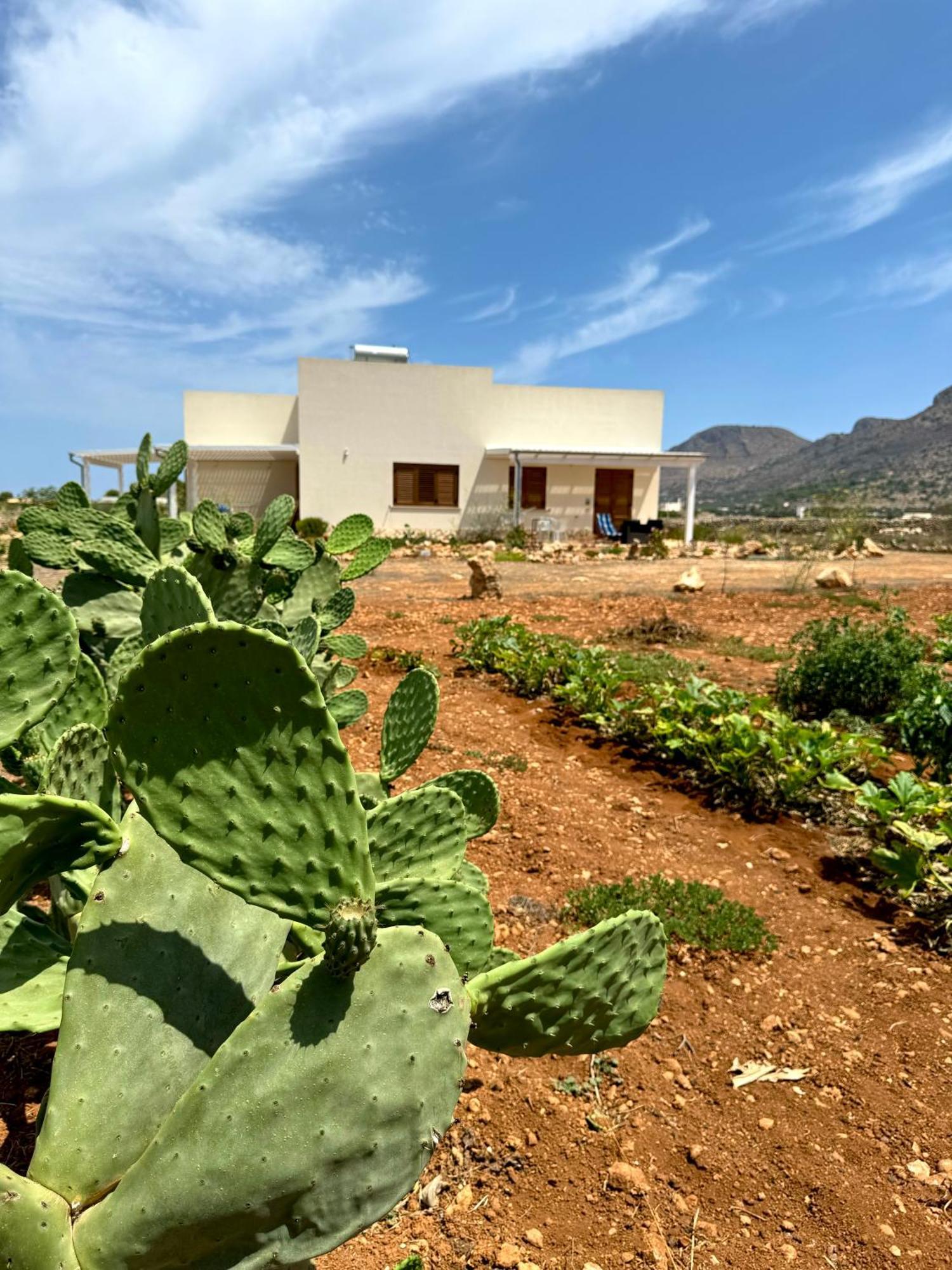 Aria Case Vacanze Favignana Zewnętrze zdjęcie