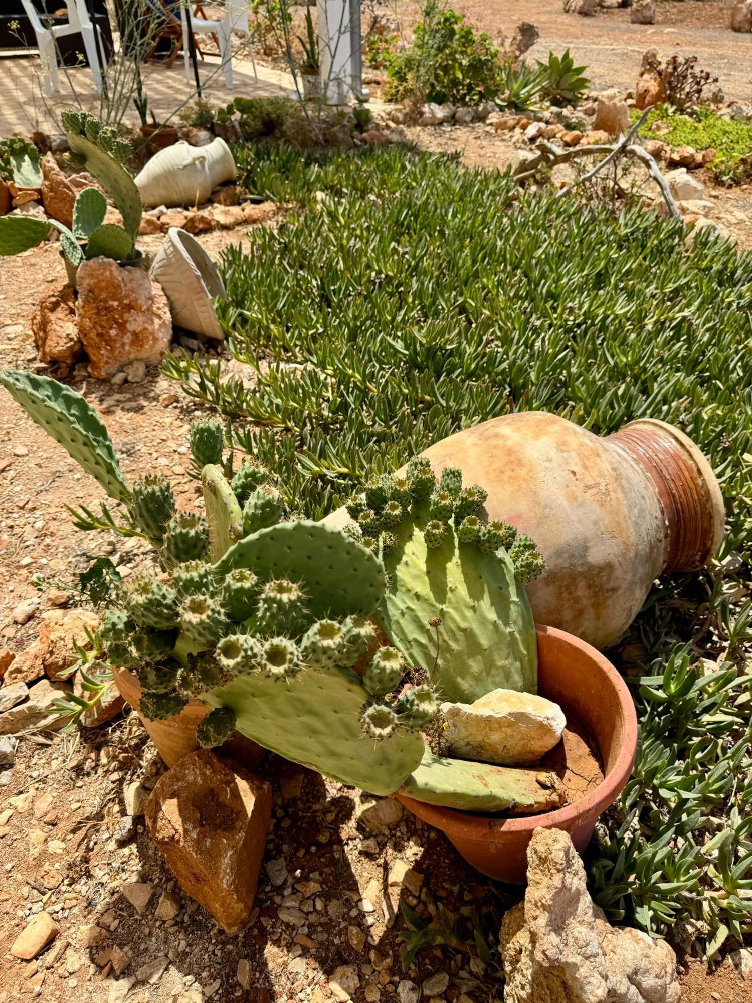 Aria Case Vacanze Favignana Zewnętrze zdjęcie