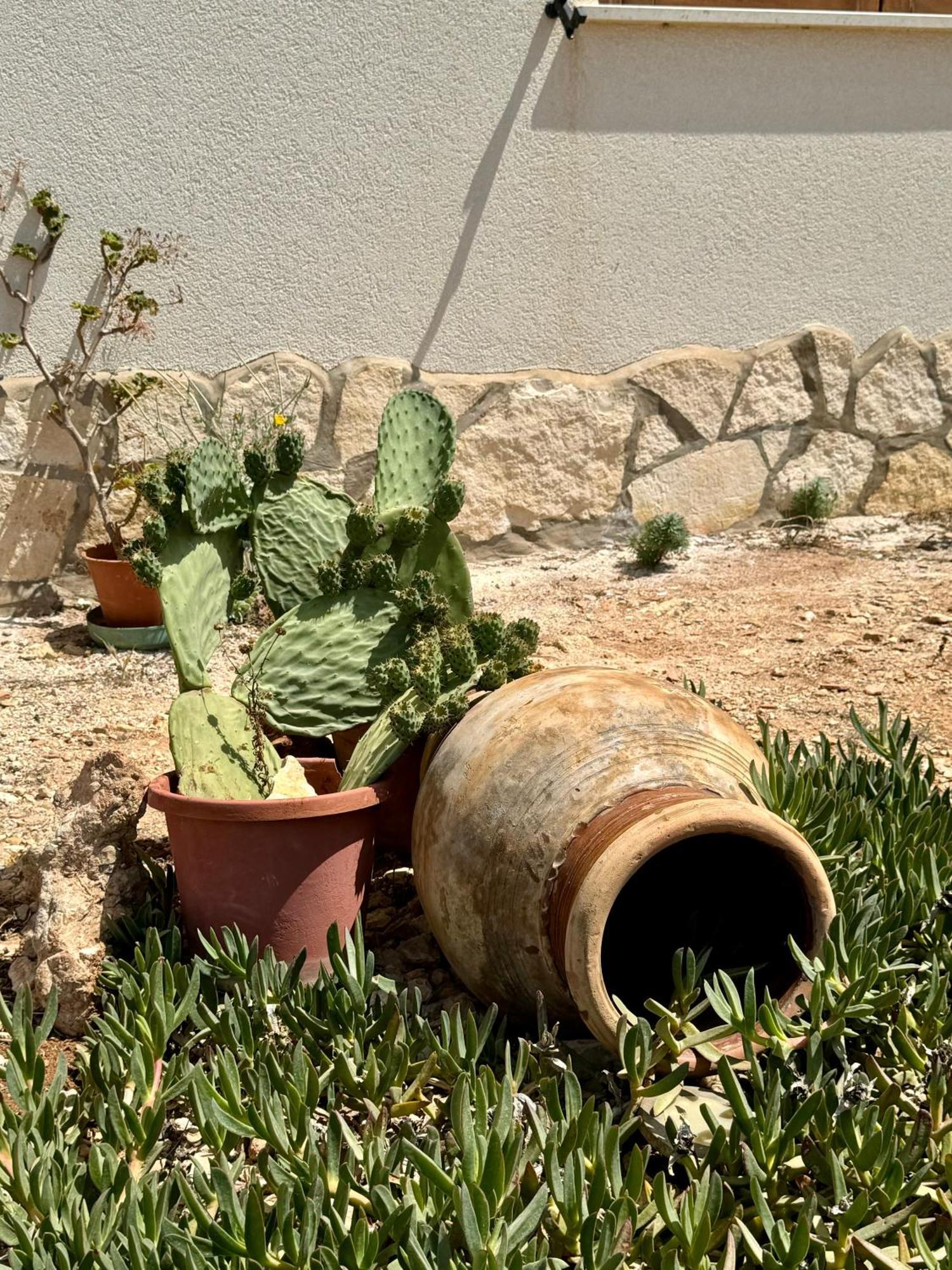 Aria Case Vacanze Favignana Zewnętrze zdjęcie